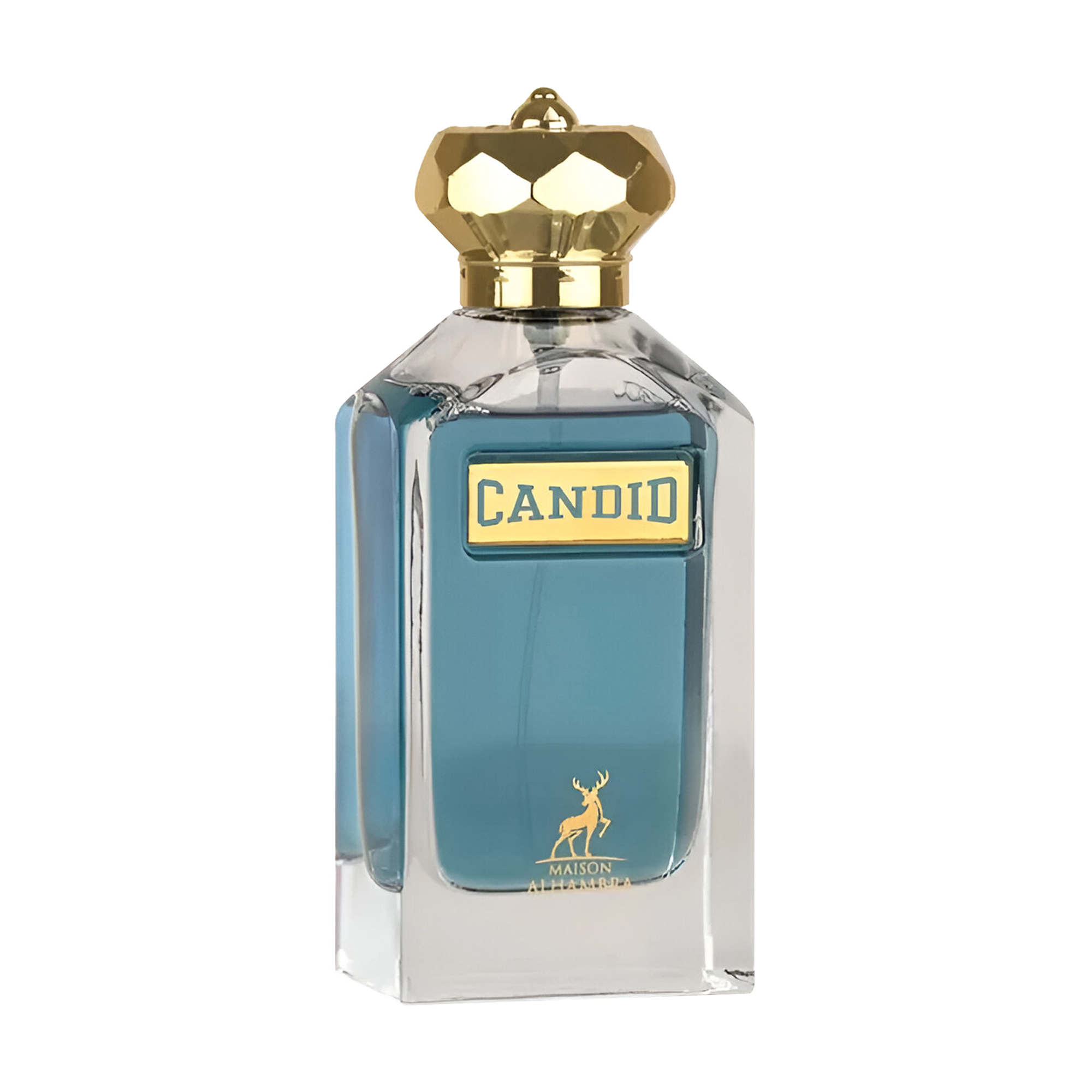 Alhambra Candid Pour Homme Парфумована вода чоловіча, 100 мл