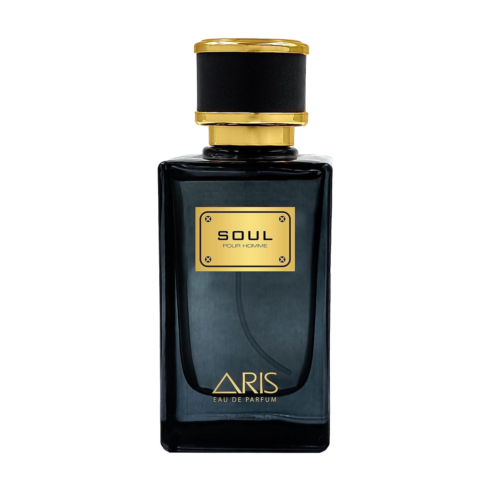 Aris Soul Парфумована вода чоловіча, 100 мл