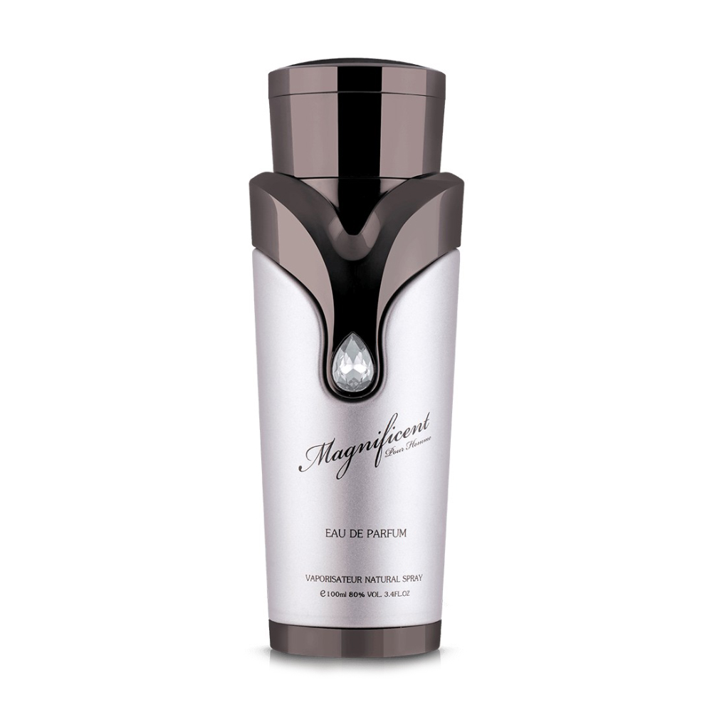 Armaf Magnificent Pour Homme Парфумована вода чоловіча, 100 мл