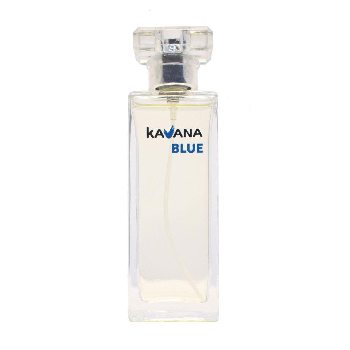Aromat Kavana Blue Туалетна вода жіноча, 50 мл