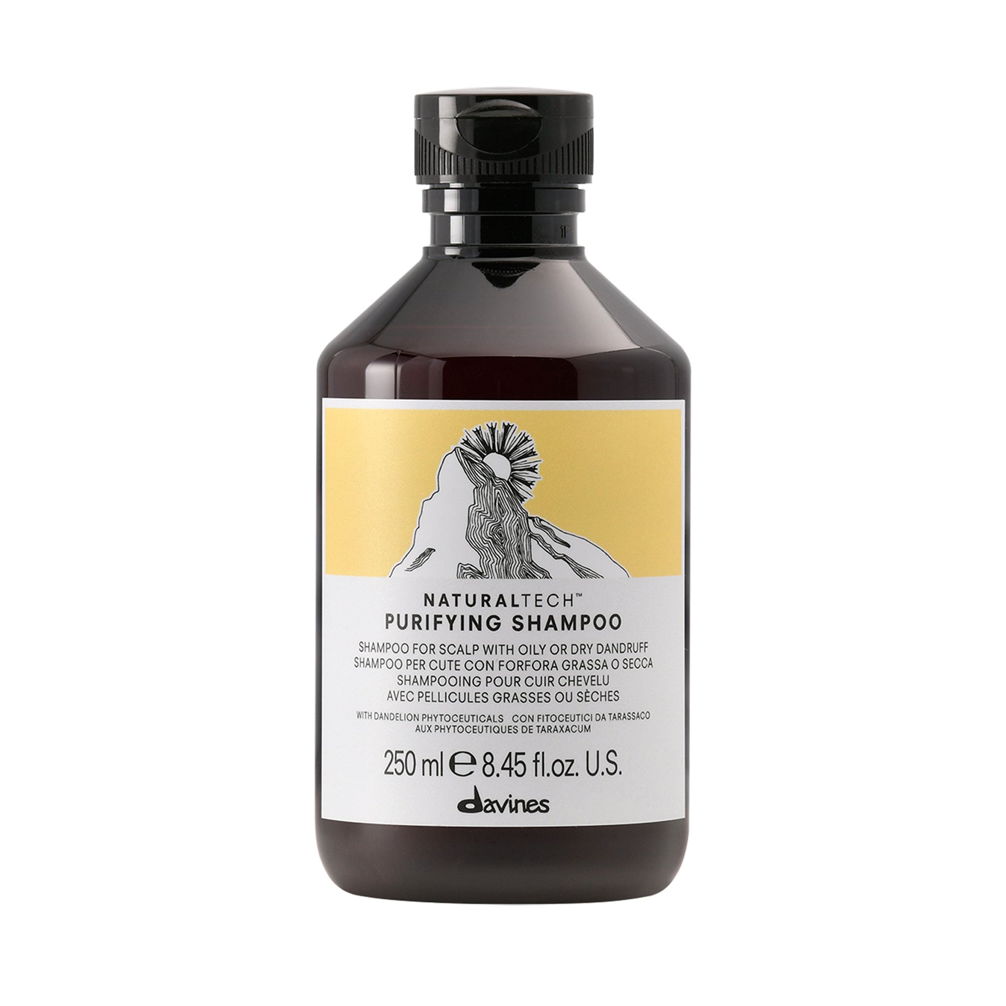 Безсульфатний очищувальний шампунь Davines Naturaltech Purifying Shampoo проти сухої або жирної лупи, 250 мл