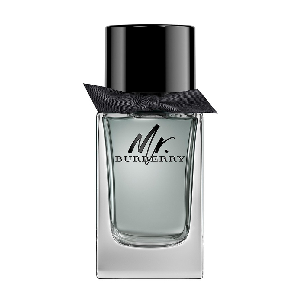 Burberry Mr. Burberry Туалетна вода чоловіча, 100 мл