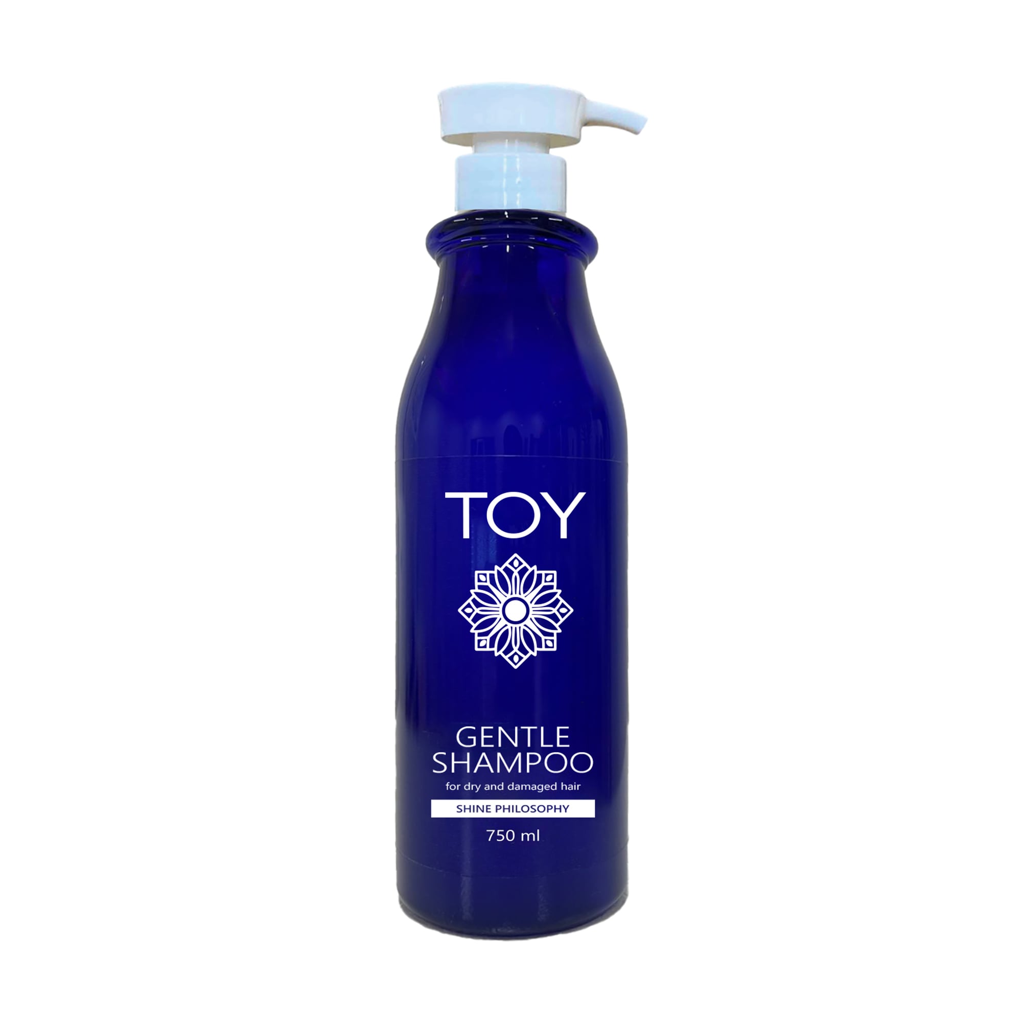 Делікатний шампунь TOY Shine Philosophy Gentle Shampoo для сухого та пошкодженого волосся, 750 мл