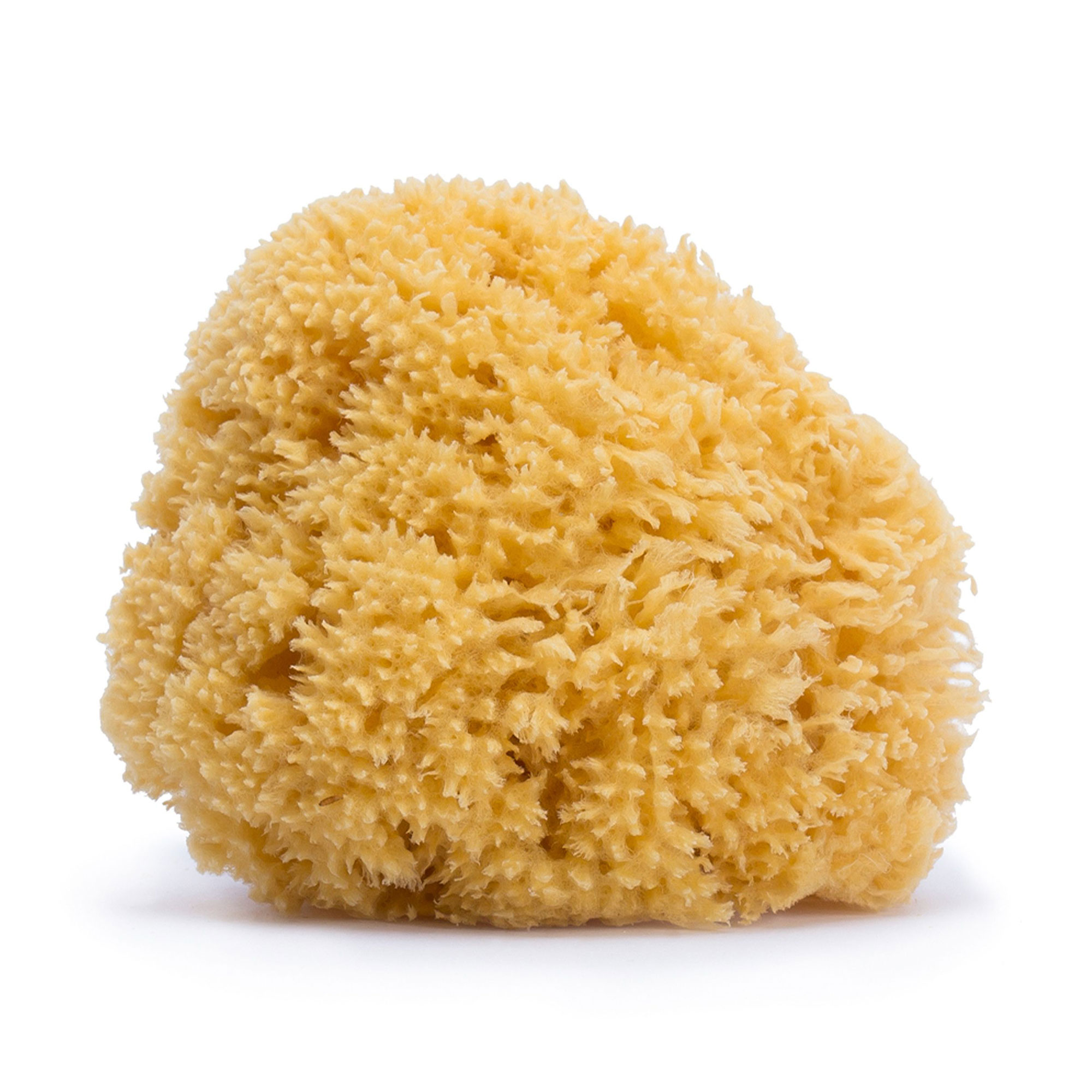 Дитяча губка для купання Suavinex Natural Sponge, від народження, 1 шт (300857)