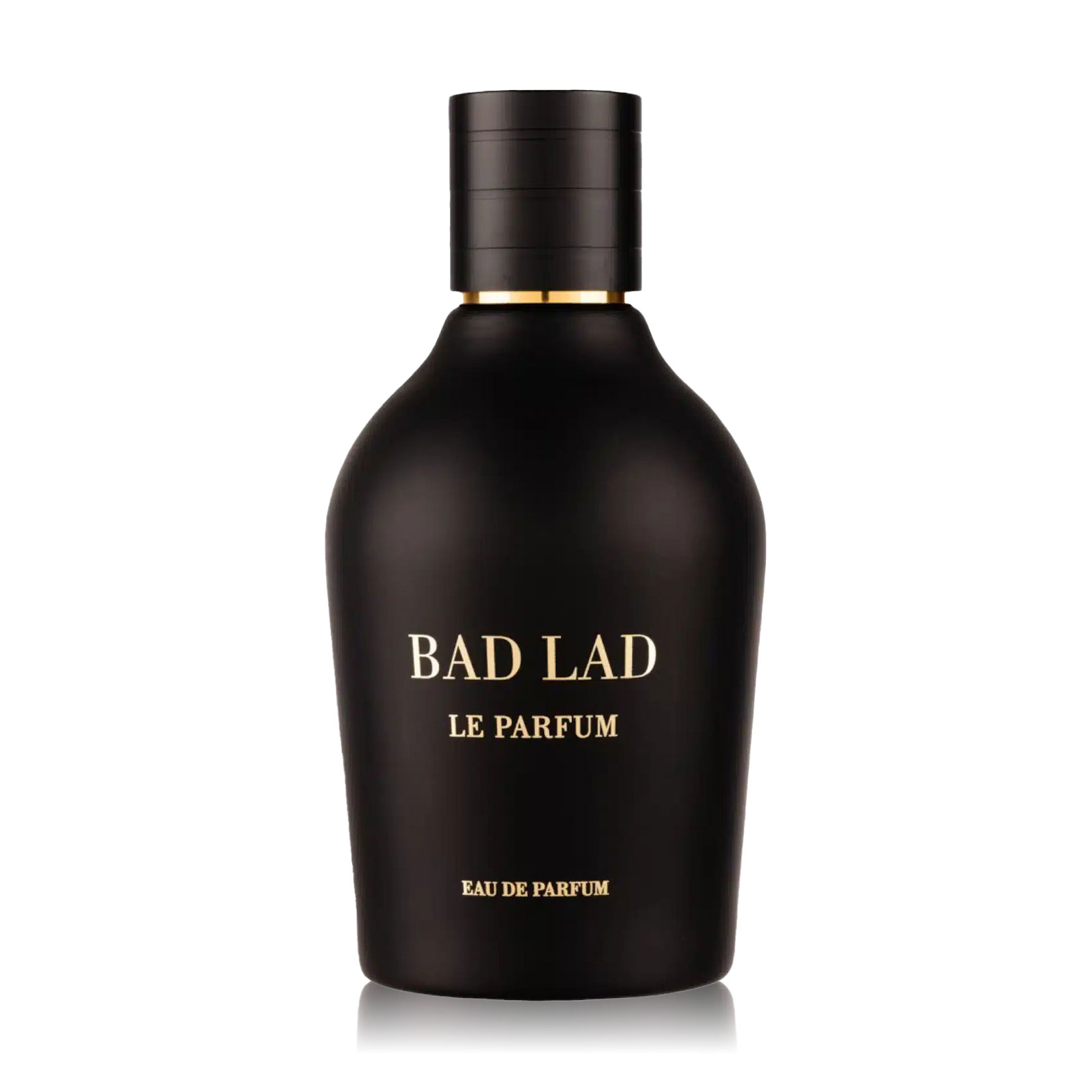 Fragrance World Bad Lad Le Parfum Парфумована вода чоловіча, 100 мл