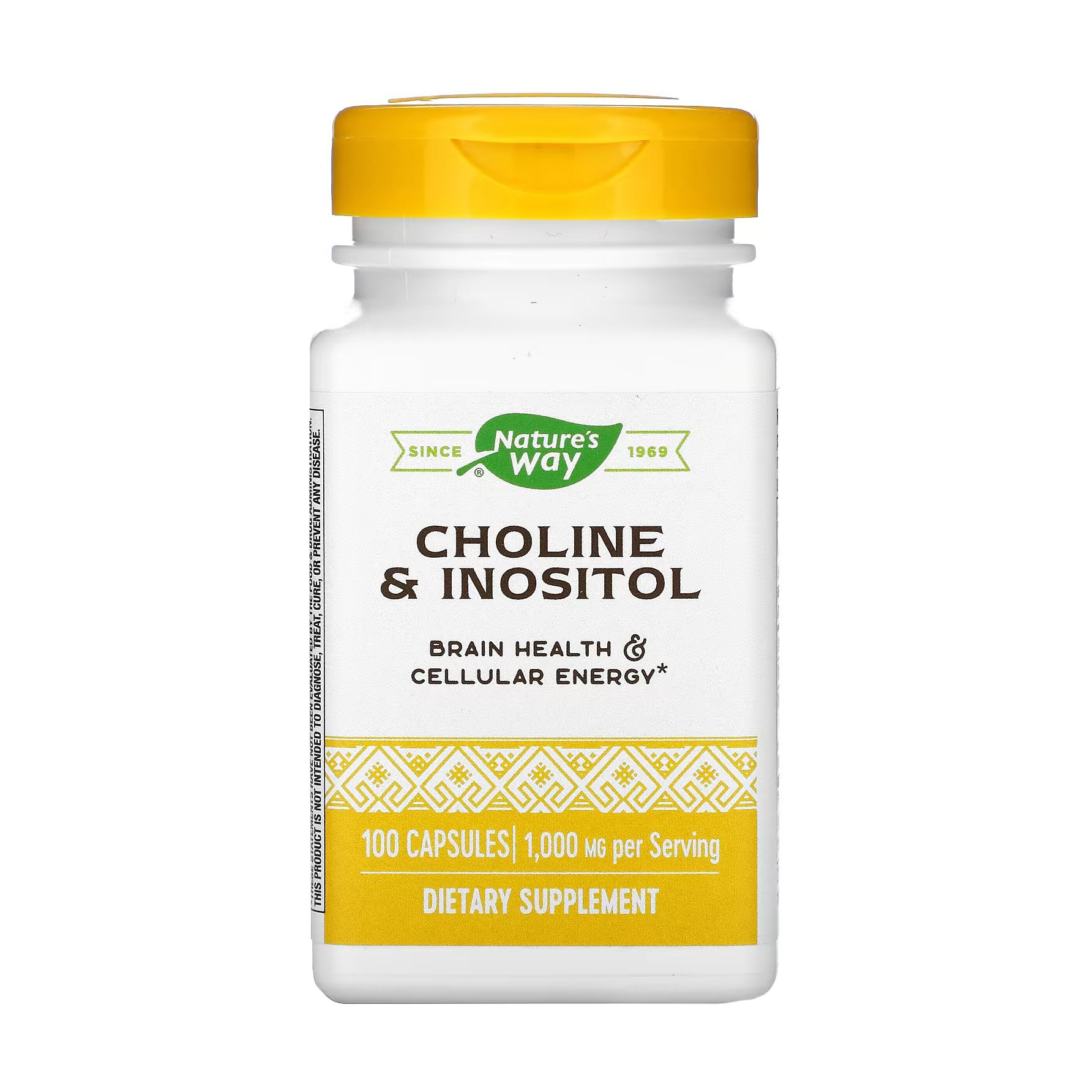 Холін та інозитол Nature's Way Choline &amp; Inositol 1000 мг, 100 капсул