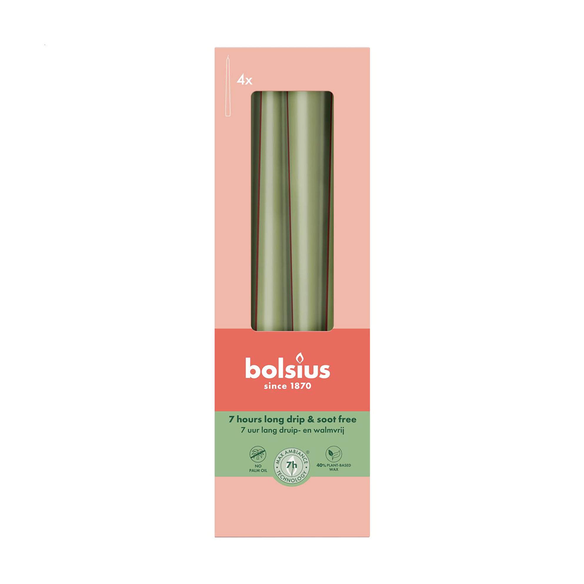 Набір конусних свічок Bolsius Essentials Свіжий оливковий, 245*24 мм, 4 шт