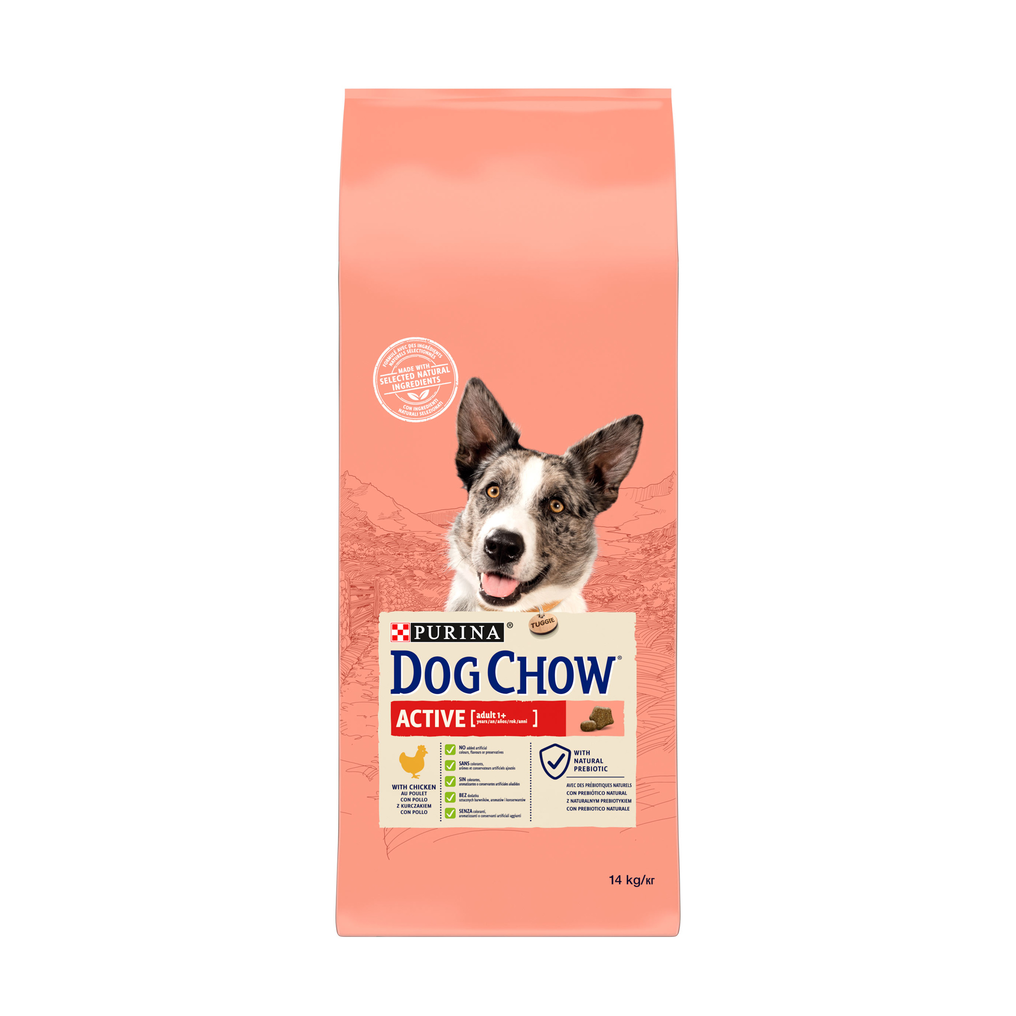 Сухий корм для собак від 1 року Dog Chow Active Adult 1+ з підвищеною активністю, з куркою, 14 кг