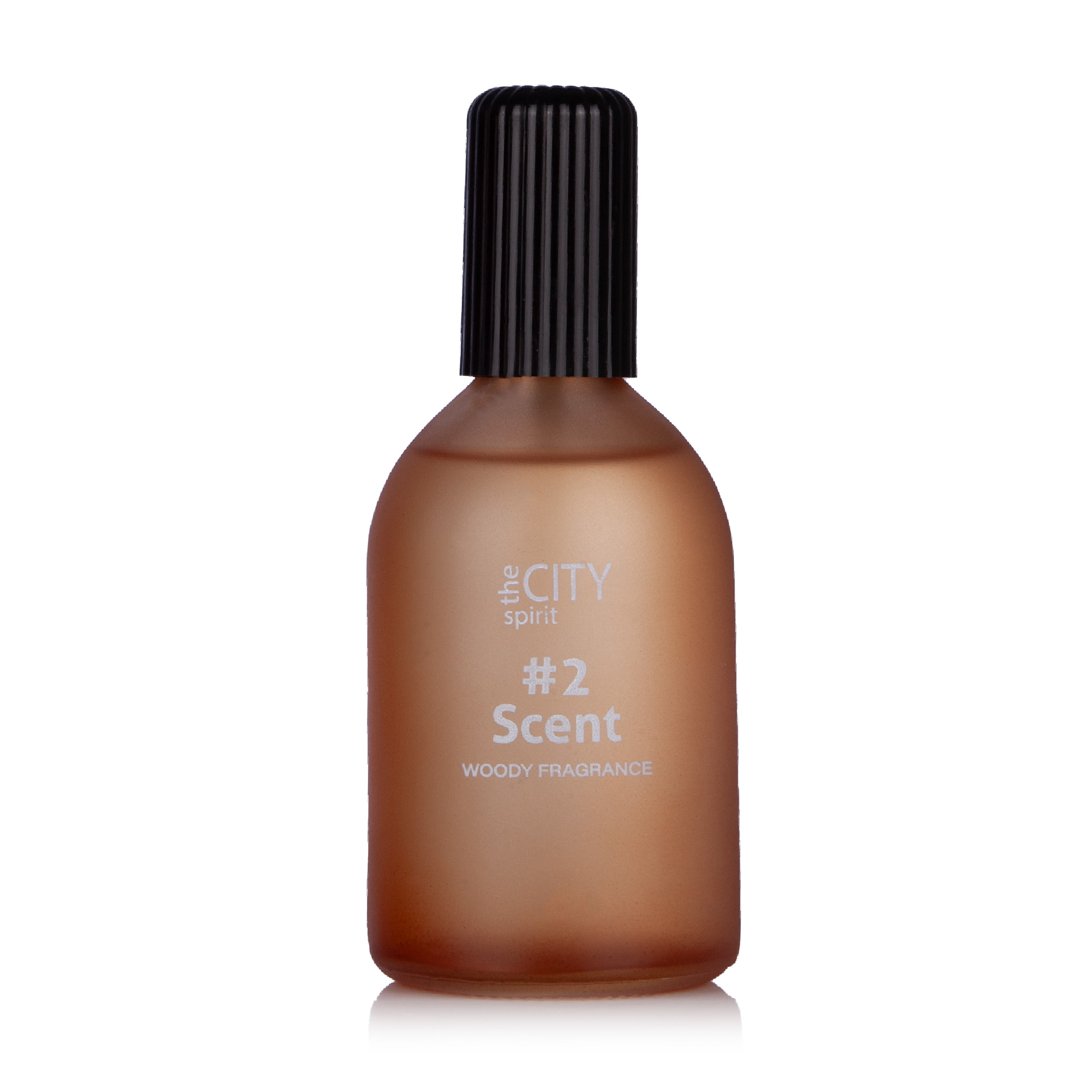 The City Spirit Spicy 2 Scent Туалетна вода чоловіча, 115 мл