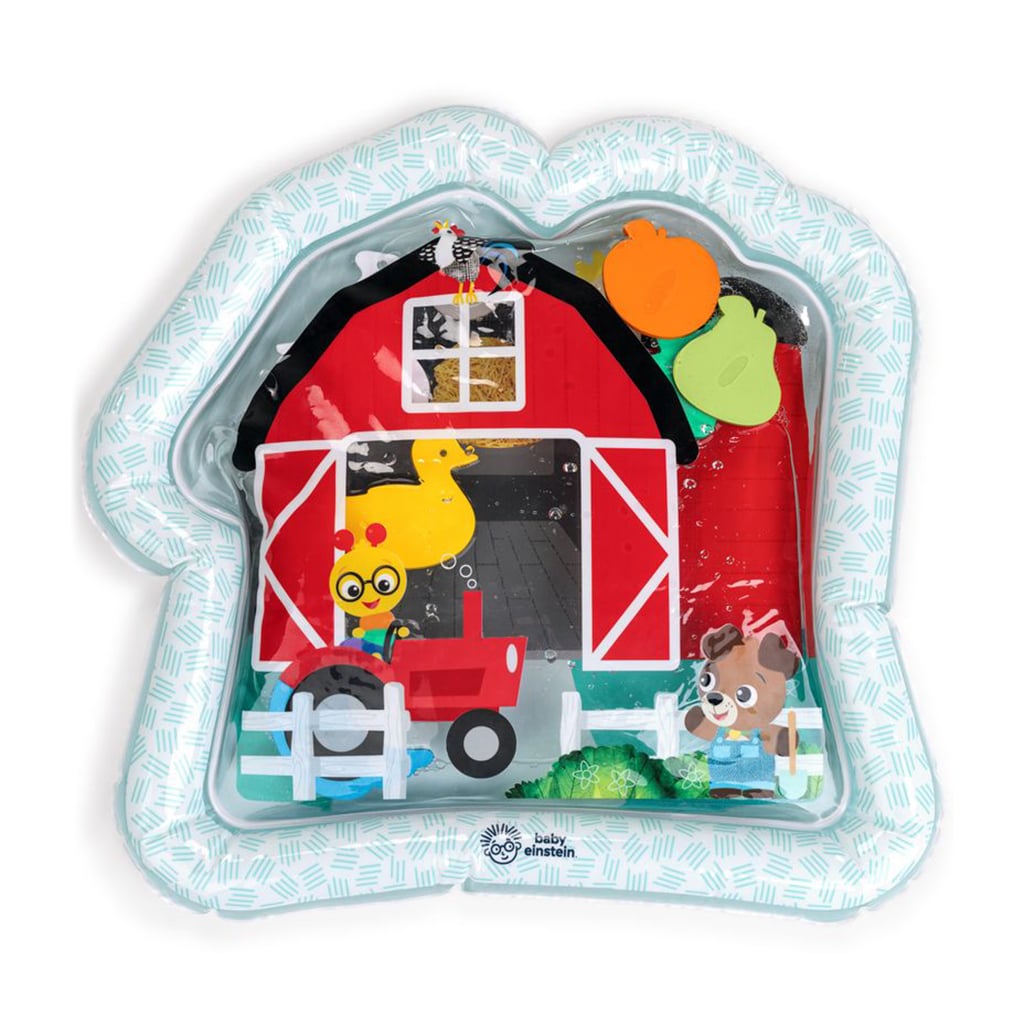 Водний розвивальний килимок Baby Einstein Cal's Sensory Barn від народження (17559)