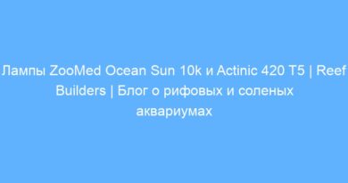 Лампы ZooMed Ocean Sun 10k и Actinic 420 T5 | Reef Builders | Блог о рифовых и соленых аквариумах