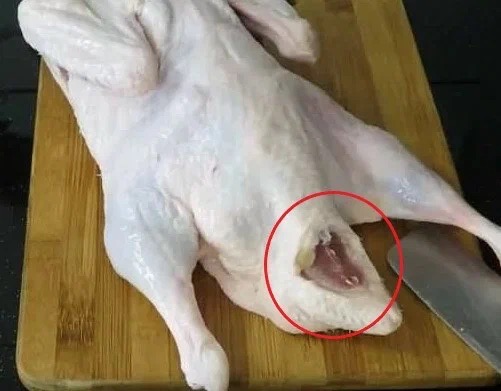 Що потрібно видалити у качки, щоб не було специфічного запаху: кулінарний секрет0
